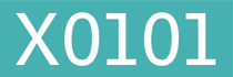 x0101